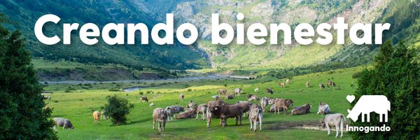 innogando Profile Banner