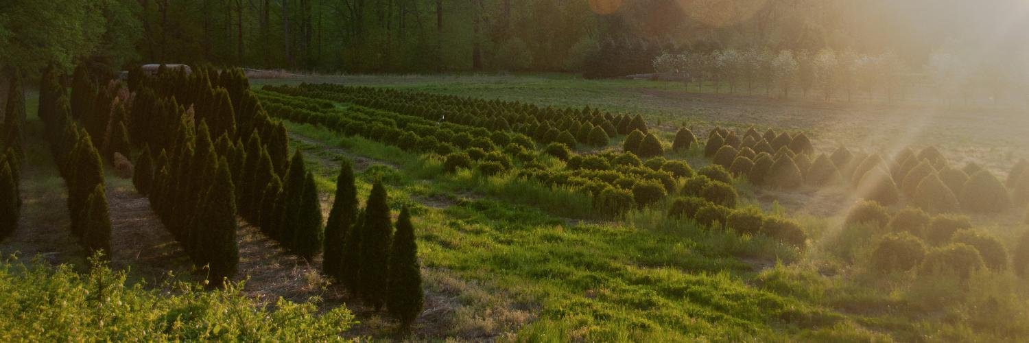 Alisa Muelleck banner