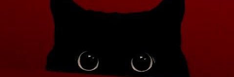 RAKANn08's profile banner image