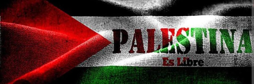 🇵🇸✌Basma's banner