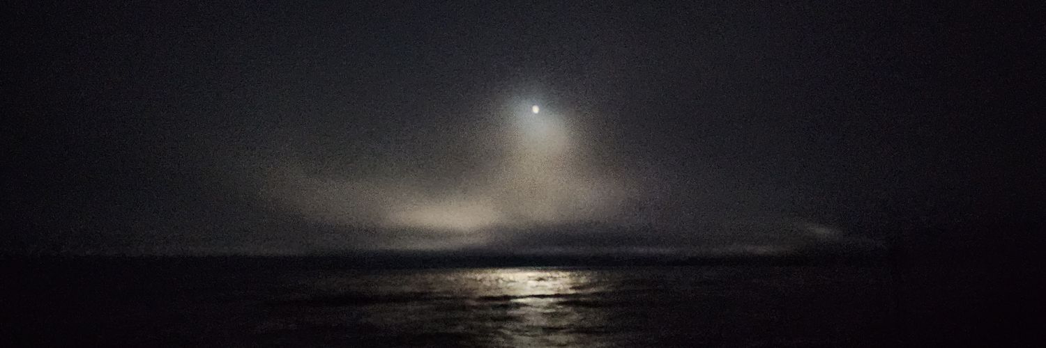 Noah Jones - FWRD MGMT - 🐀 banner