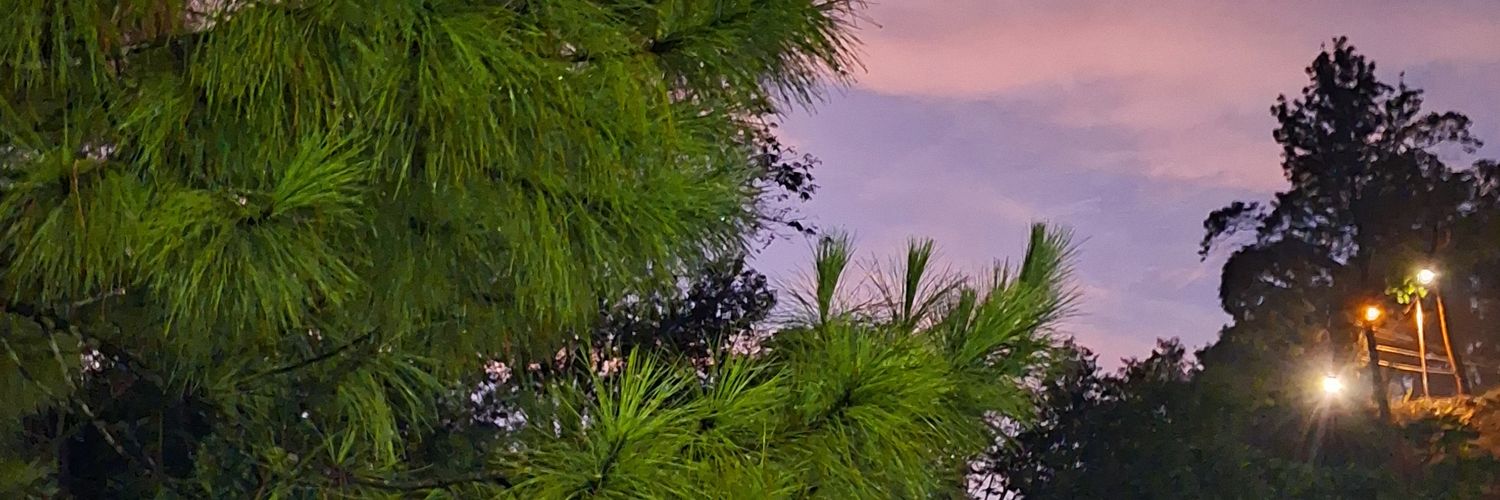 Ryuen Kakeru 🉐 banner