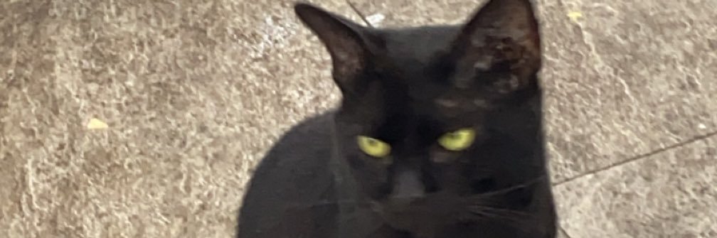 narrowmindeddd's profile banner image