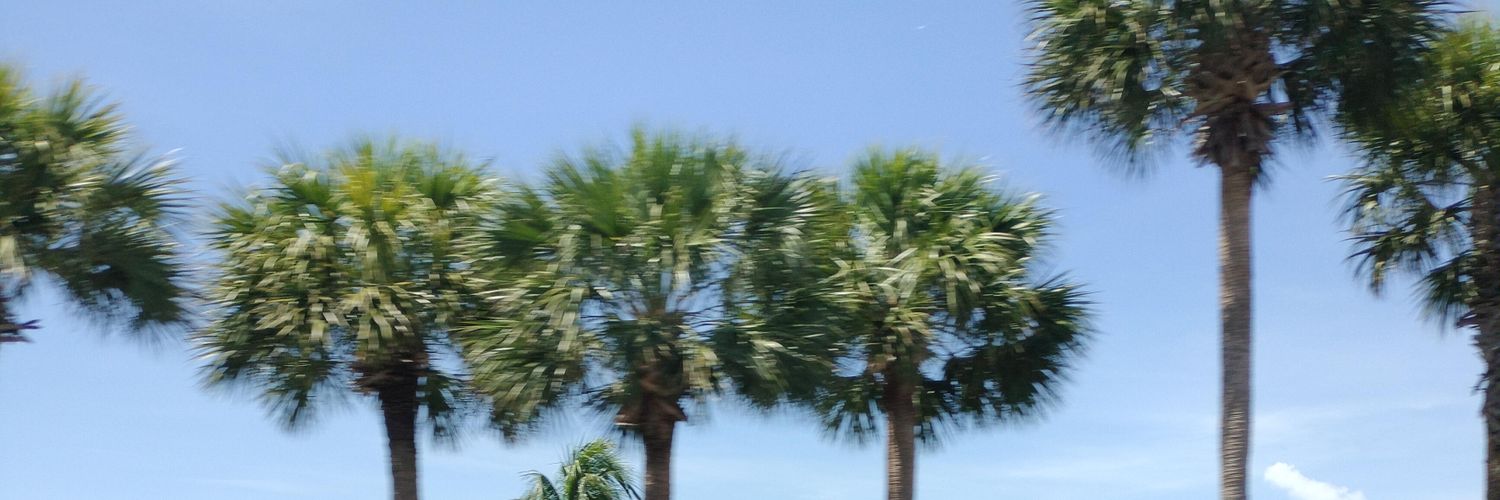 Matthew Walker banner