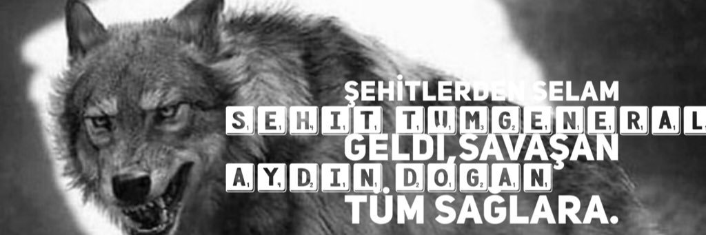 alp_tunga_'s profile banner image