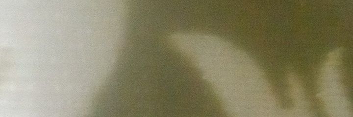 AfanZ1348's profile banner image