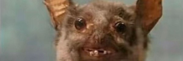 M4rt_ALT Profile Banner