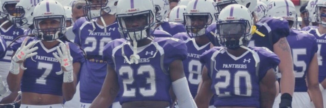 Ellsworth CC Panther Football's banner