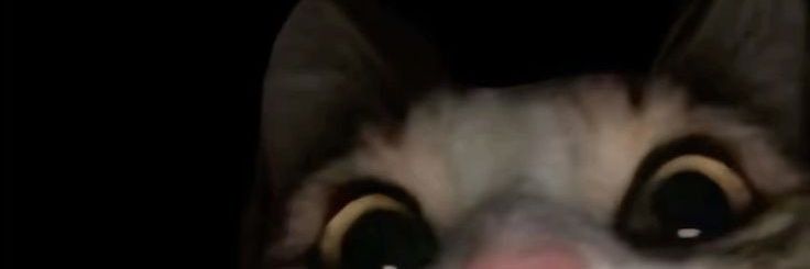 s banner