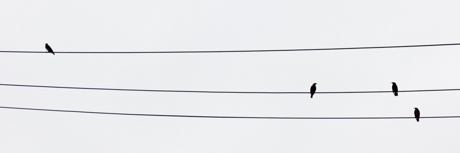 さてと's banner