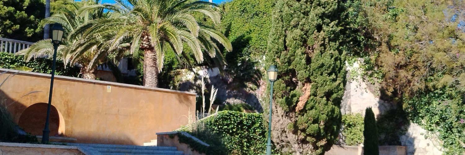 Maria Jose Marchante Mañas banner