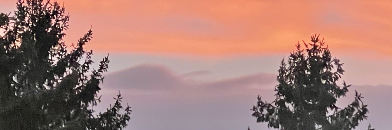 JadeAngel23's profile banner image