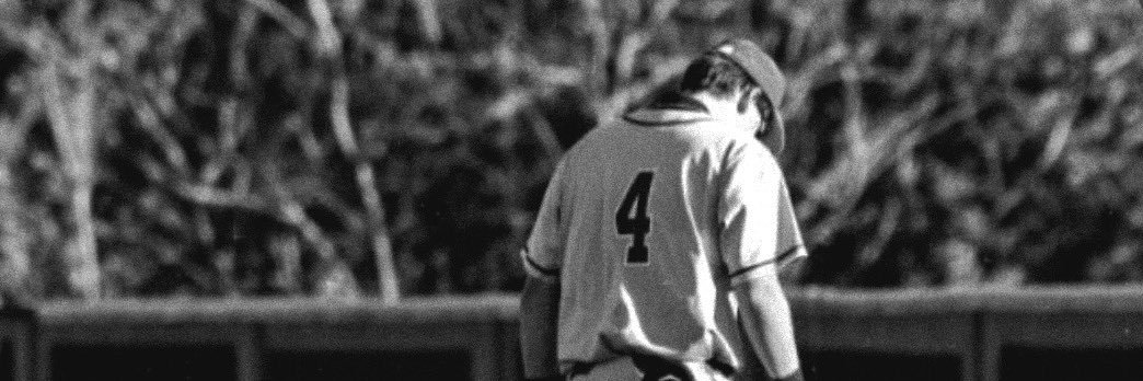 Parks Lederer banner