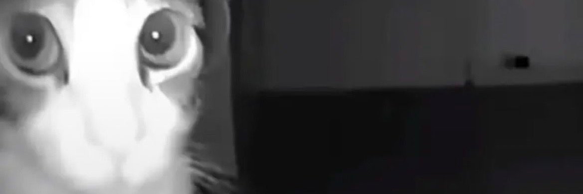 puppet is mad banner