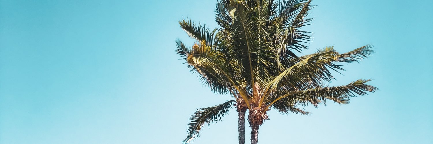 MelinMarcus's profile banner image