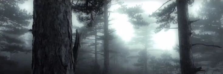 demi ❥ inpatient banner