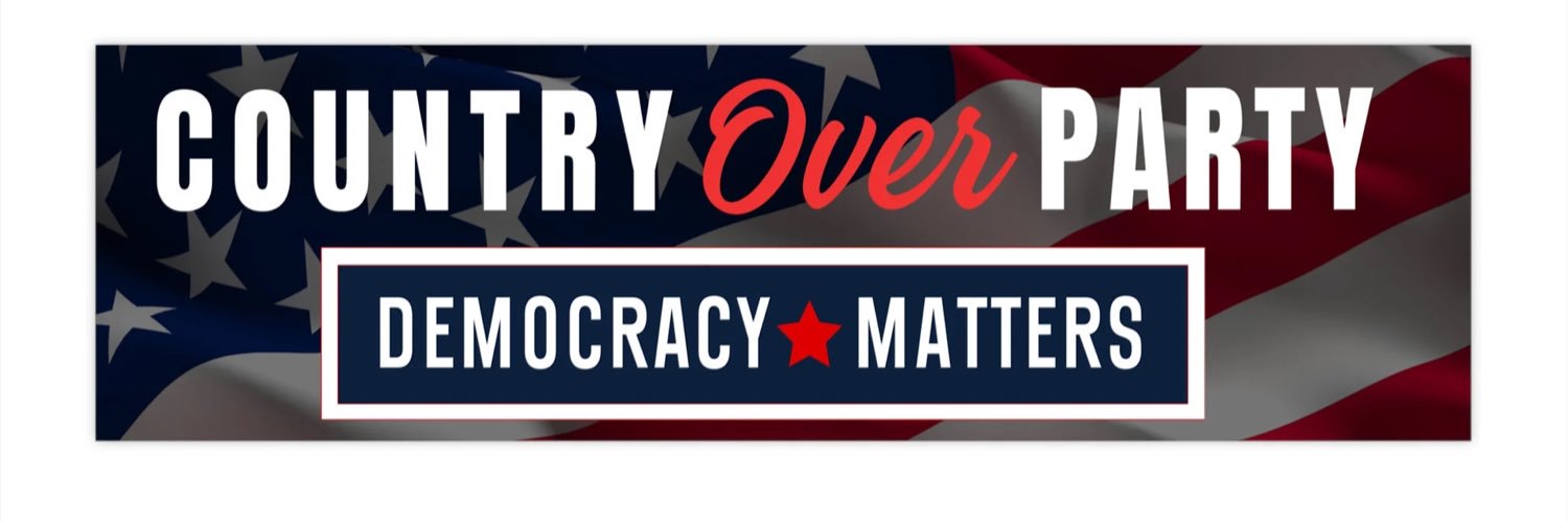 Voices of Democracy banner