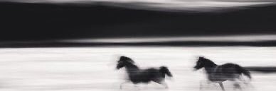 𝐑𝐀𝐇𝐀𝐃𝐈𝐀𝐍 𝐏𝐀𝐍𝐃𝐄𝐆𝐀 banner