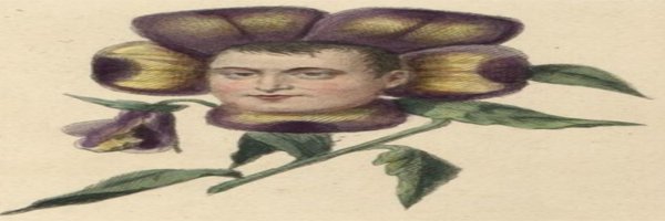 NicholauR1770 Profile Banner