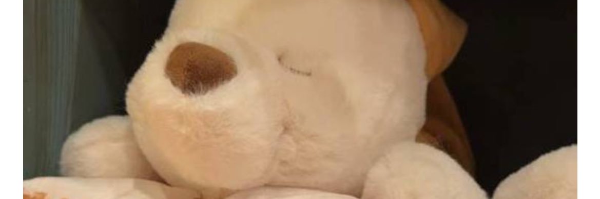 bsq0000's profile banner image