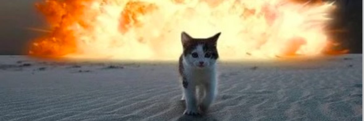 cocozyzy010's profile banner image