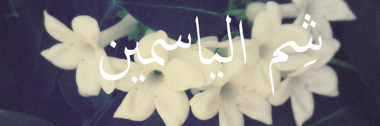 MariamChehata's profile banner image