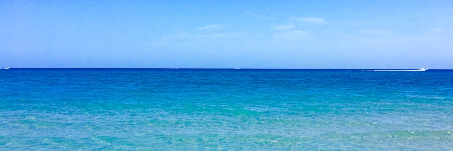 michellenoga's profile banner image