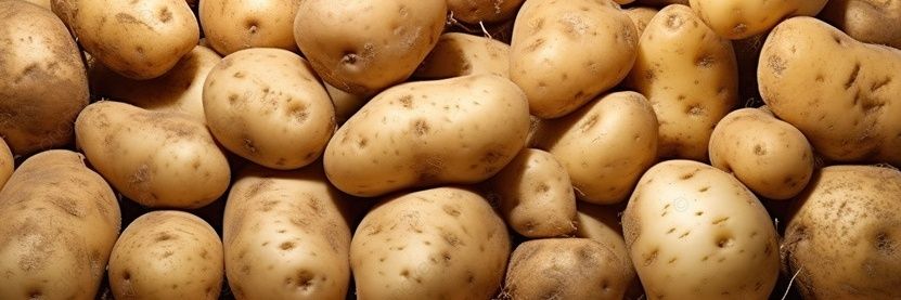 🥔ya banner