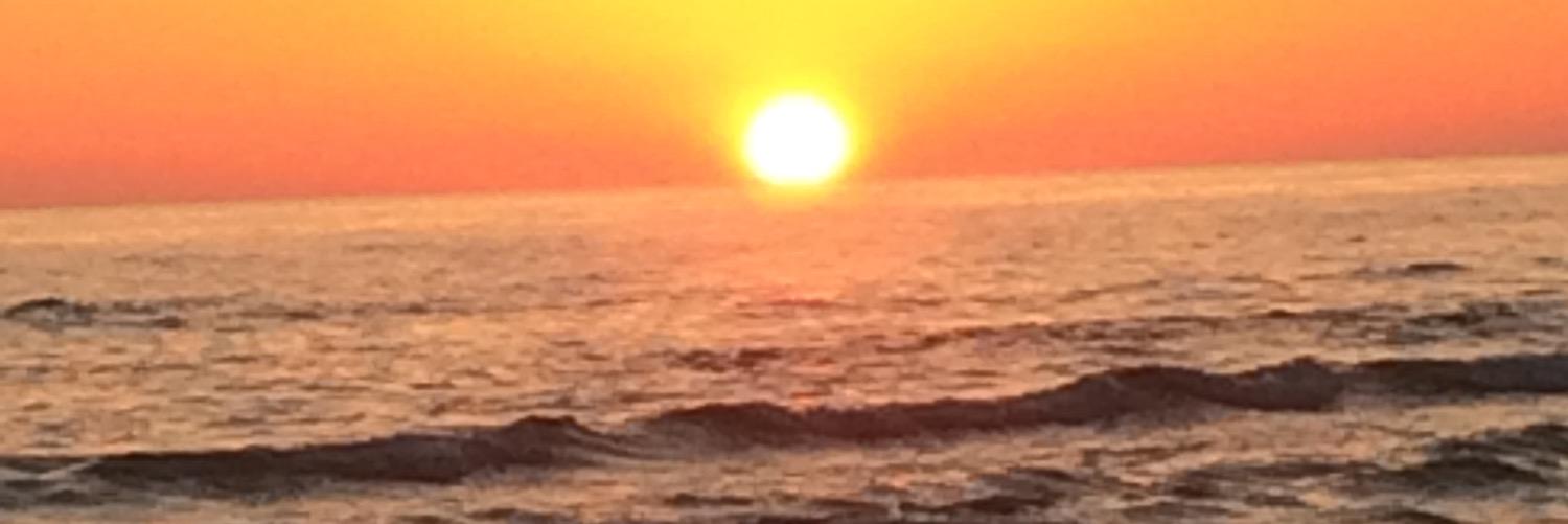 wilddegg's profile banner image