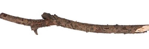 Stick banner
