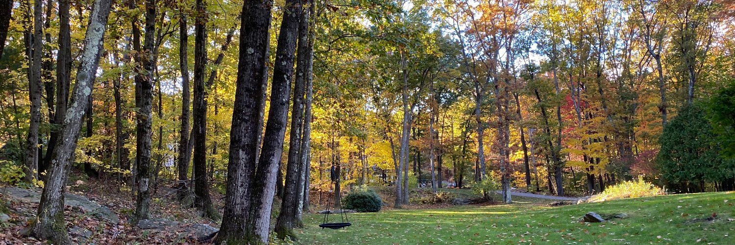 Tyler Oakleaf banner