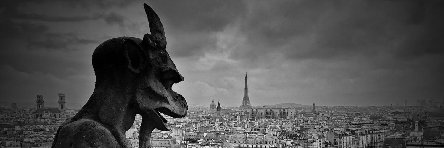 tfarelo's profile banner image