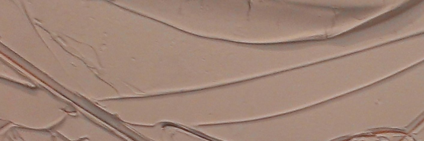 BCN Network for Critical Thought & Social Research banner