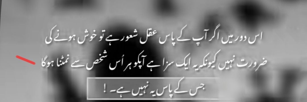 محمد ہافی banner