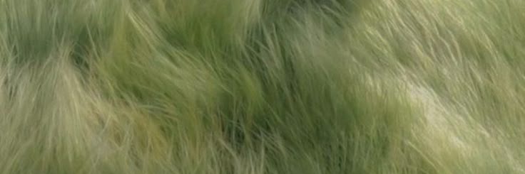 zzaaeell's profile banner image