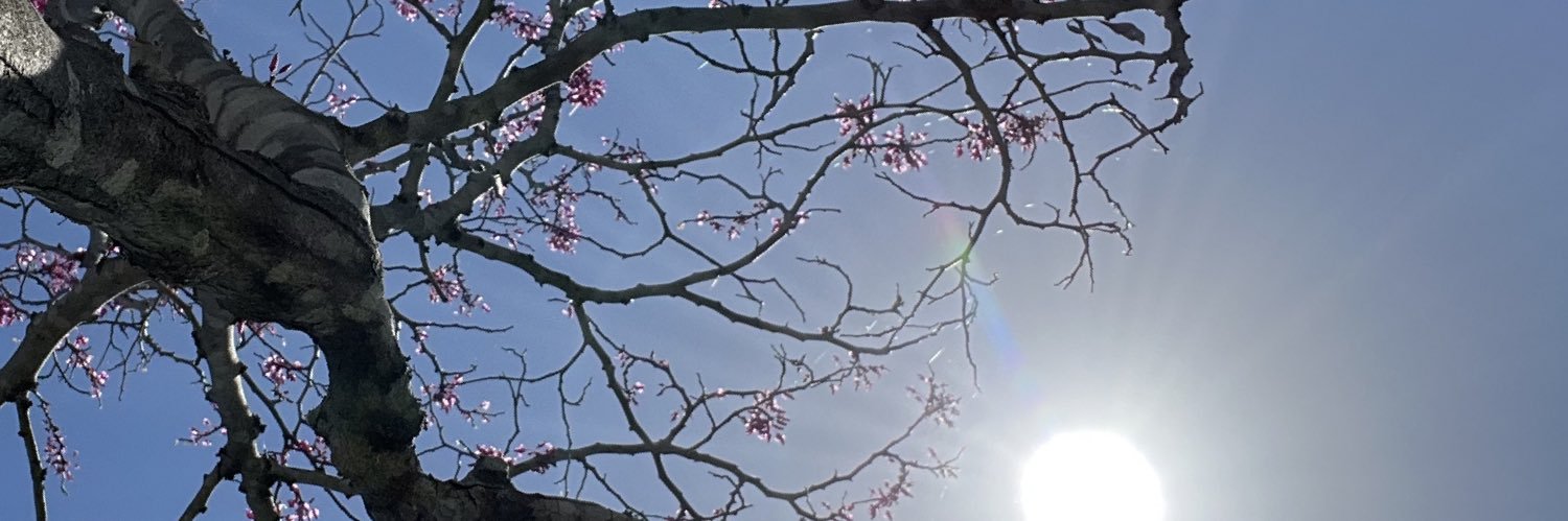 Ivan C Olenick III banner