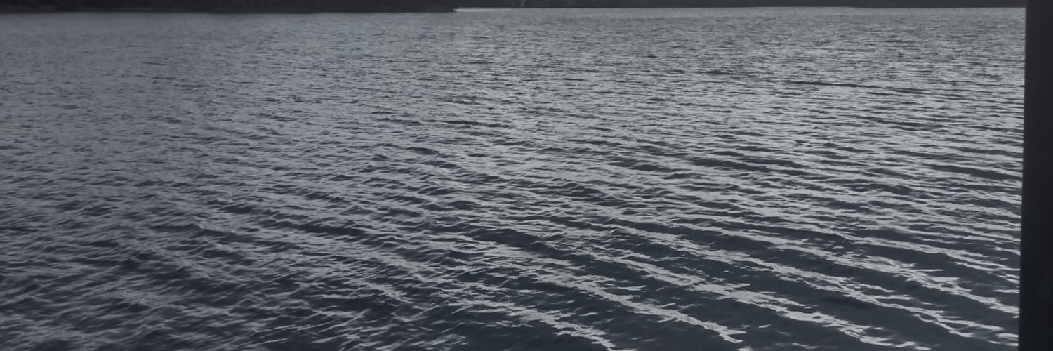 .'s banner