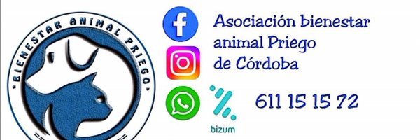 BienAniPriego Profile Banner