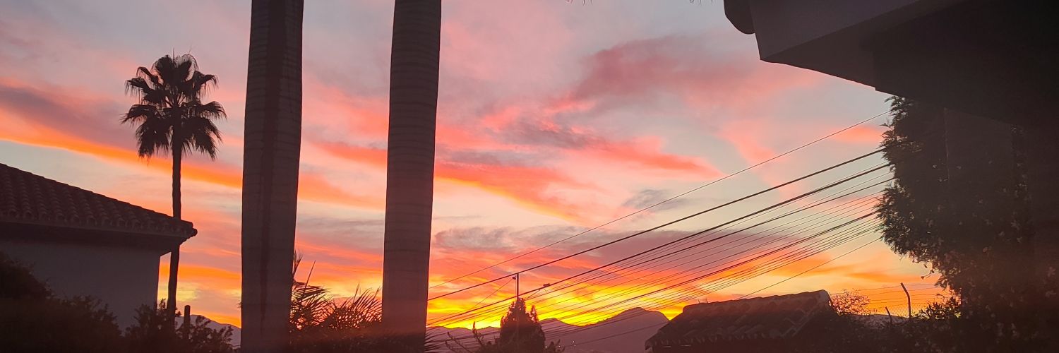 Katie Lingwood Wells banner