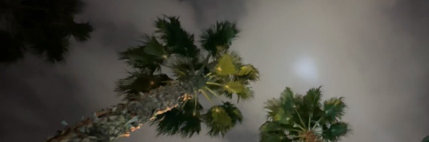 hoochi papi banner