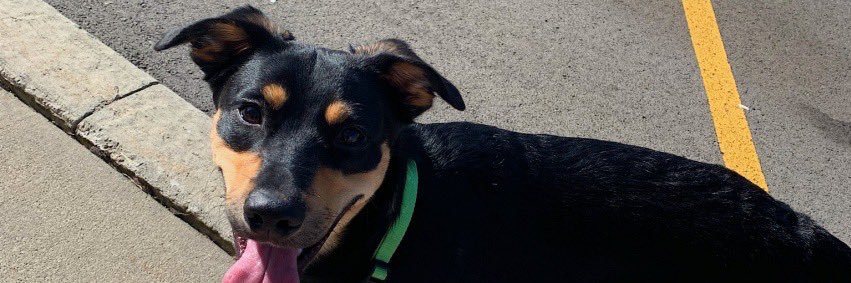 dwils_'s profile banner image