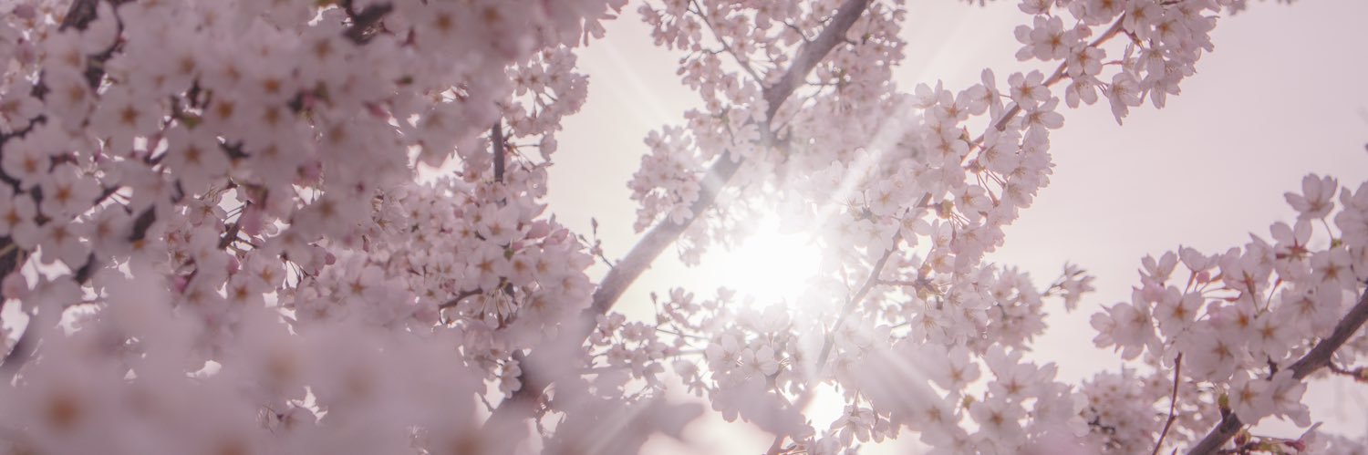 ogalup's profile banner image