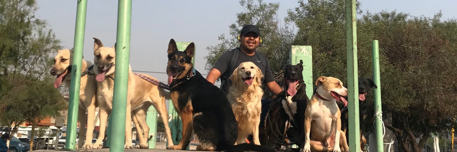 sanmascogro's profile banner image