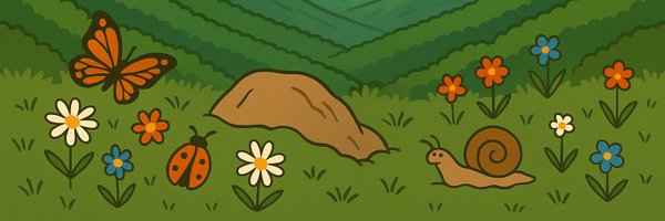 scotato Profile Banner