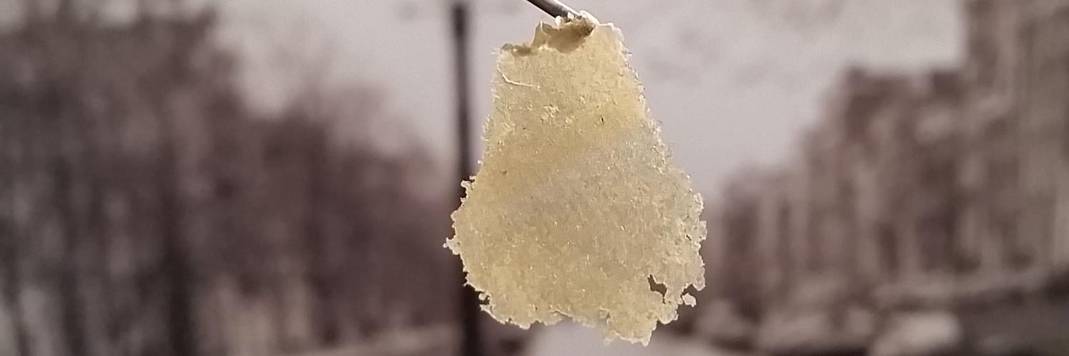 Growrilla's profile banner image