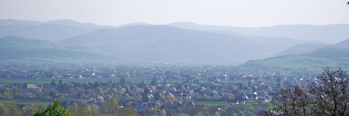 Peter.VPS banner