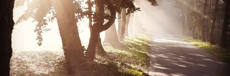 Tuithof's profile banner image
