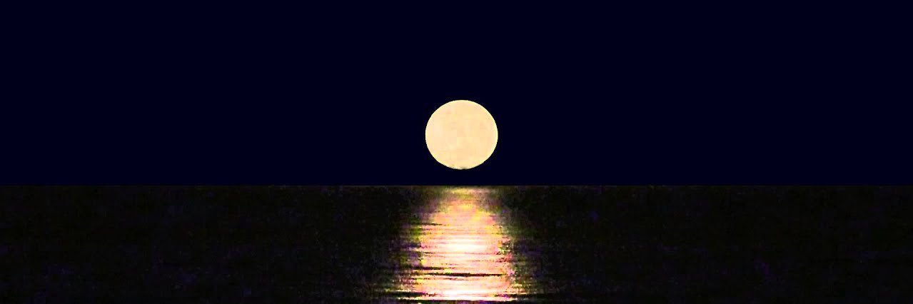 T's banner
