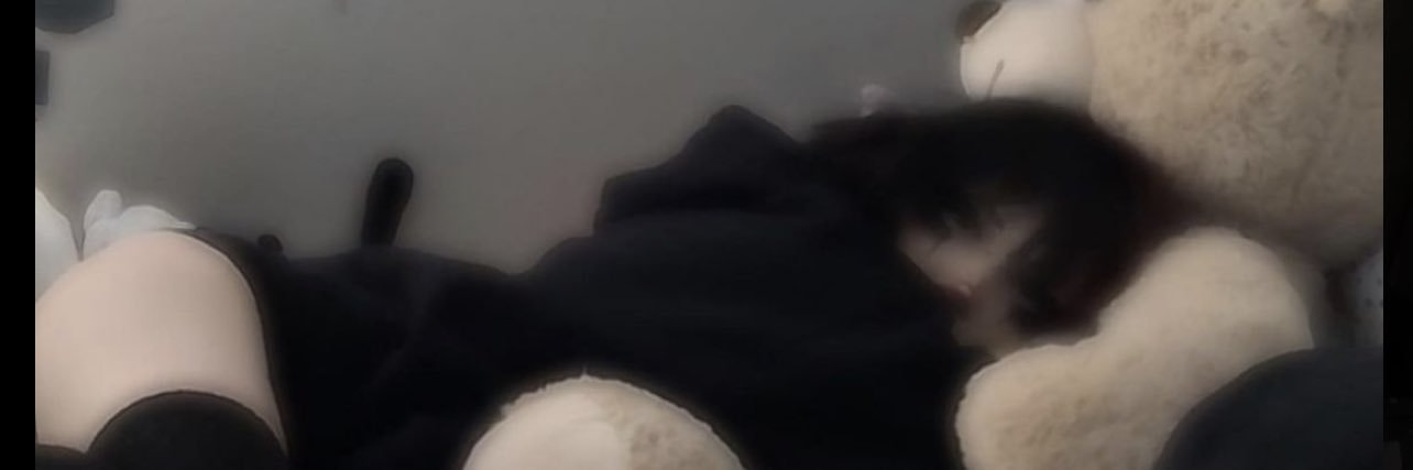 0nehomesick's profile banner image