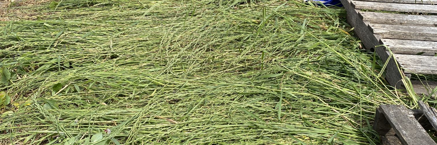 soilsaucedave's profile banner image